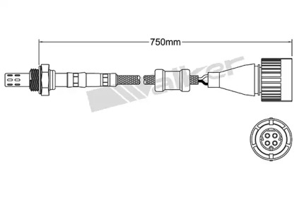 Датчик (WALKER PRODUCTS: 250-24613)