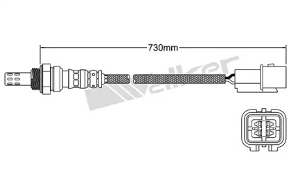 Датчик (WALKER PRODUCTS: 250-24658)