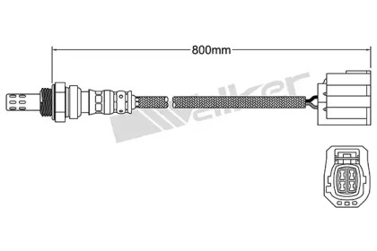 Датчик (WALKER PRODUCTS: 250-24661)