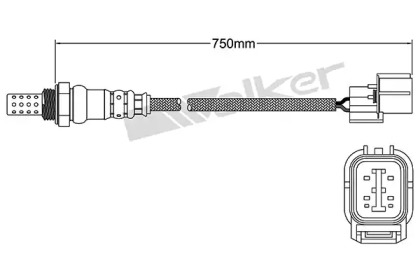 Датчик (WALKER PRODUCTS: 250-24761)