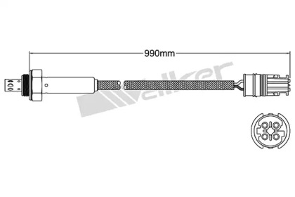 Датчик (WALKER PRODUCTS: 250-24810)