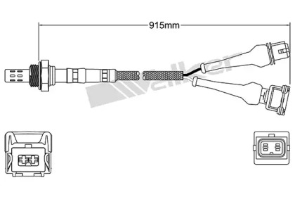 Датчик (WALKER PRODUCTS: 250-24820)