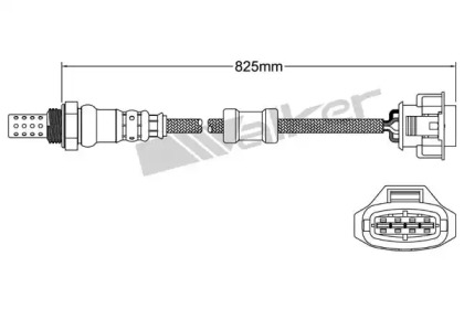 Датчик (WALKER PRODUCTS: 250-24854)