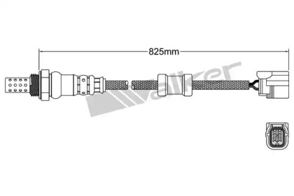 Датчик (WALKER PRODUCTS: 250-24856)