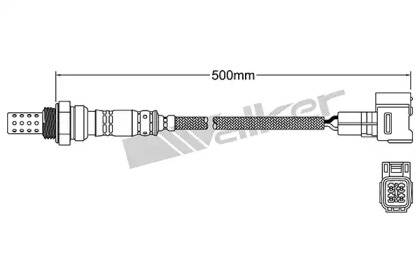 Датчик (WALKER PRODUCTS: 250-24862)