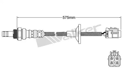 Датчик (WALKER PRODUCTS: 250-24864)