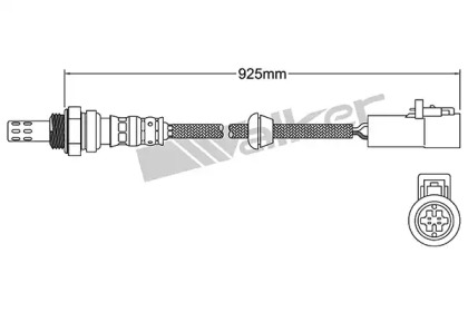 Датчик (WALKER PRODUCTS: 250-24903)