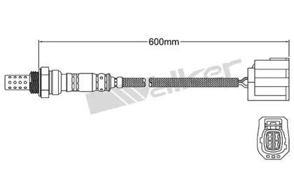 Датчик (WALKER PRODUCTS: 250-24904)