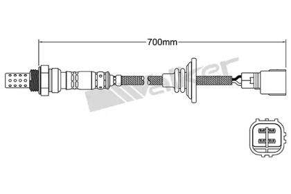 Датчик (WALKER PRODUCTS: 250-24938)