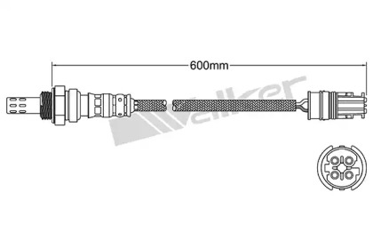 Датчик (WALKER PRODUCTS: 250-24970)