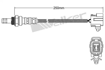 Датчик (WALKER PRODUCTS: 250-24978)