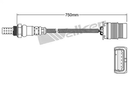 Датчик (WALKER PRODUCTS: 250-24991)