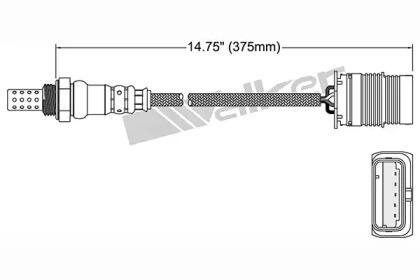 Датчик (WALKER PRODUCTS: 250-24997)