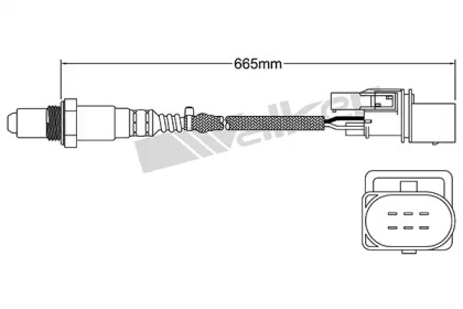 Датчик (WALKER PRODUCTS: 250-25057)