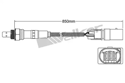 Датчик (WALKER PRODUCTS: 250-25058)