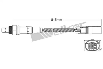 Датчик (WALKER PRODUCTS: 250-25064)