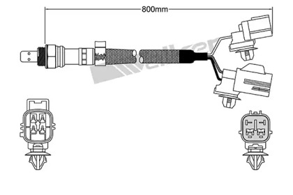 Датчик (WALKER PRODUCTS: 250-25066)