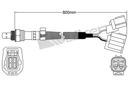 Датчик (WALKER PRODUCTS: 250-25067)