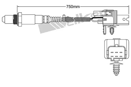 Датчик (WALKER PRODUCTS: 250-25079)