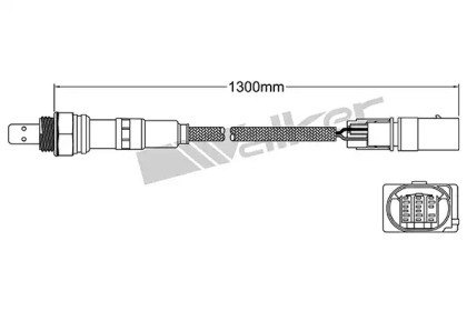 Датчик (WALKER PRODUCTS: 250-25081)