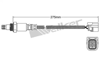 Датчик (WALKER PRODUCTS: 250-54041)