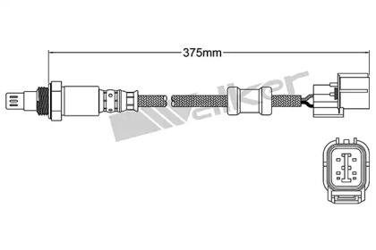 Датчик (WALKER PRODUCTS: 250-54046)