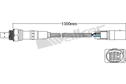 Датчик (WALKER PRODUCTS: 800-95024)