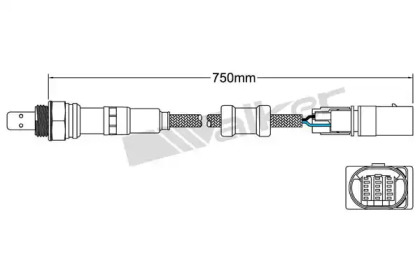 Датчик (WALKER PRODUCTS: 800-95026)