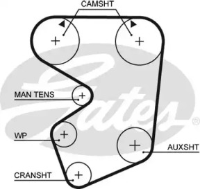 Ремень (GATES: 5013)