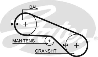 Ремень (GATES: 5025)