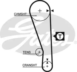 Ремень (GATES: 5036)