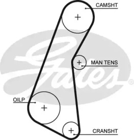 Ремень (GATES: 5121)