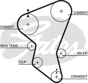 Ремень (GATES: 5171XS)