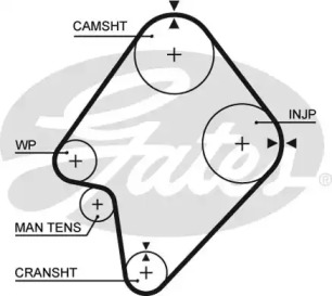 Ремень (GATES: 5300XS)