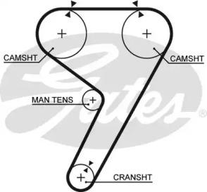 Ремень (GATES: 5304)
