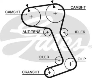 Ремень (GATES: 5364XS)