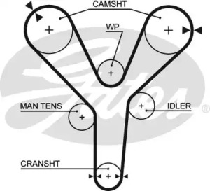 Ремень (GATES: 5377XS)