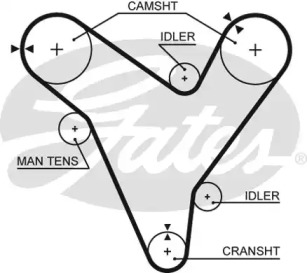 Ремень (GATES: 5379XS)