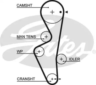 Ремень (GATES: 5430XS)