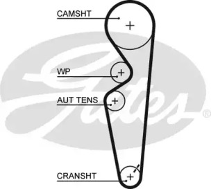 Ремень (GATES: 5431XS)