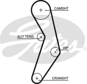 Ремень (GATES: 5503XS)