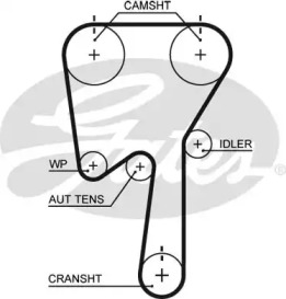 Ремень (GATES: 5509XS)