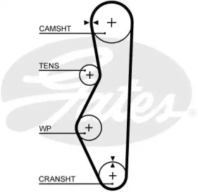 Ремень (GATES: 5521XS)