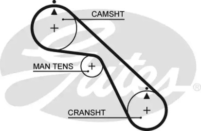 Ремень (GATES: 5530XS)