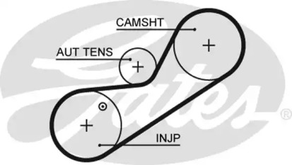 Ремень (GATES: 5546XS)