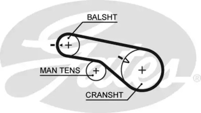 Ремень (GATES: 5570XS)