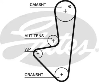 Ремень (GATES: 5574XS)