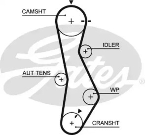 Ремень (GATES: 5579XS)