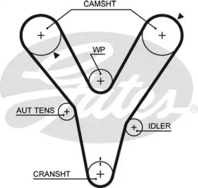 Ремень (GATES: 5584XS)