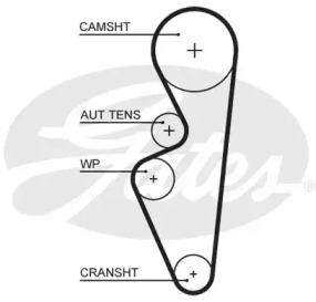 Ремень (GATES: 5670XS)